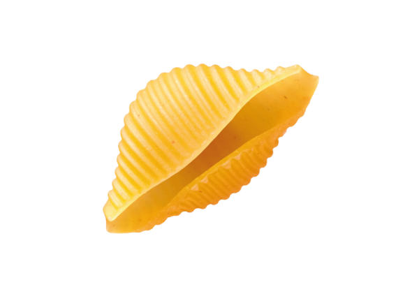 Conchiglie rigate Conchiglie rigate